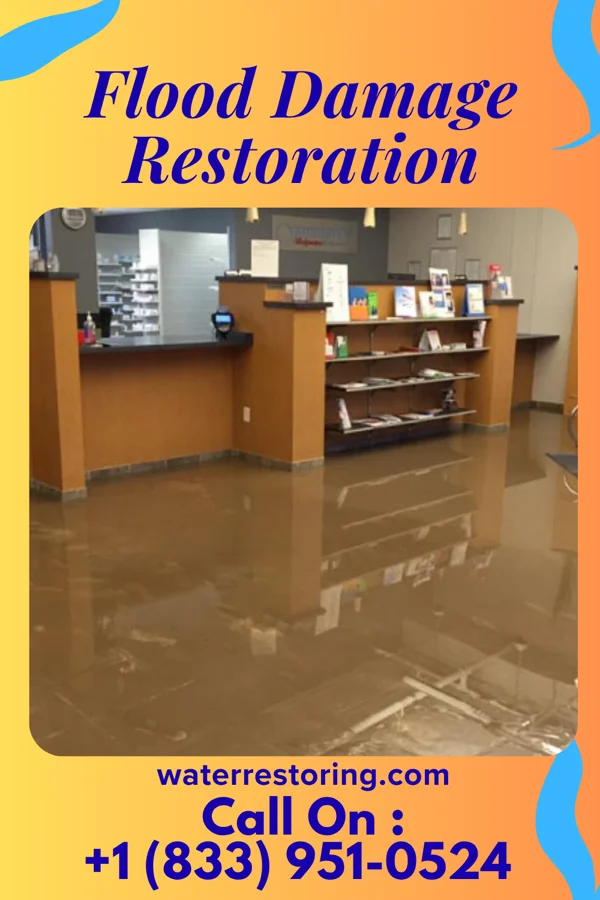 Flood Damage Restoration in Parc, NY