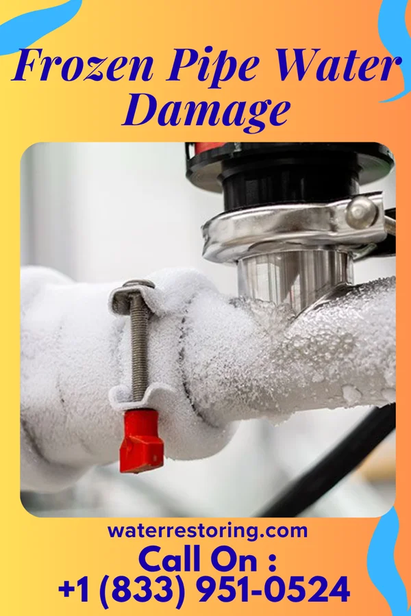 Frozen Pipe Water Damage in Parc, NY