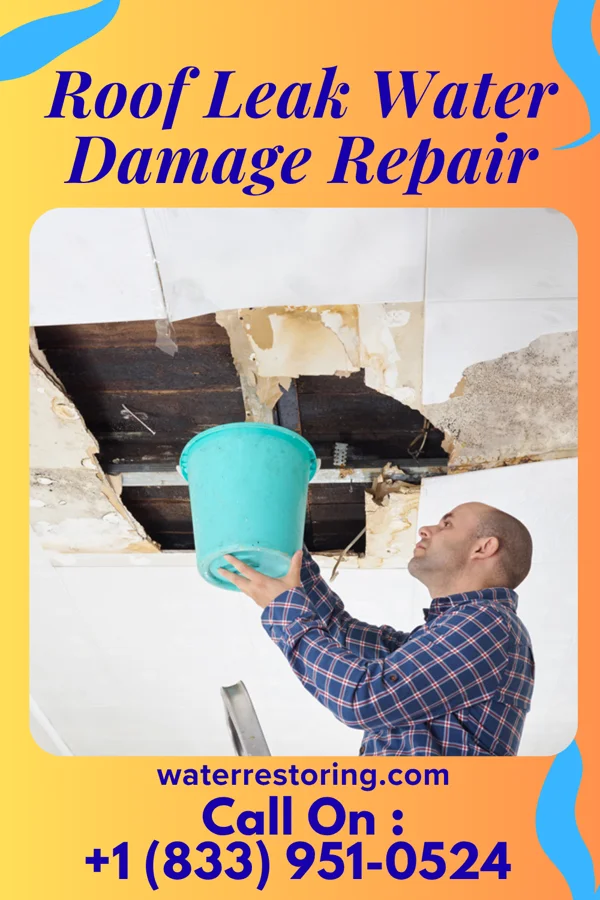 Roof Leak Water Damage Repair in Parc, NY