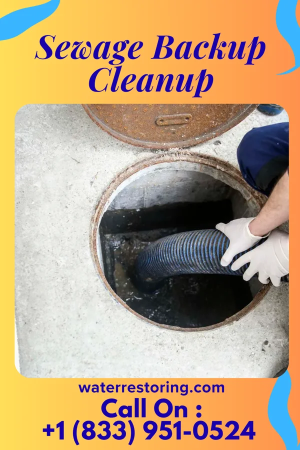 Sewage Backup Cleanup in Parc, NY