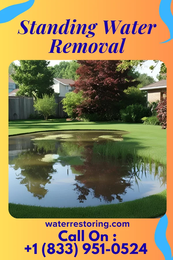 Standing Water Removal in Parc, NY